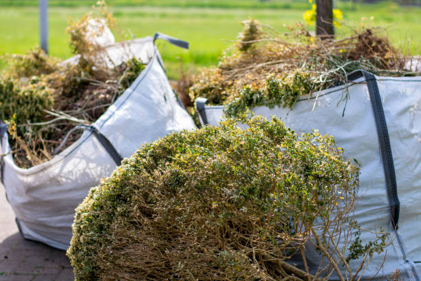 Best Appliance Removal Near Me  in Mclouth, KS